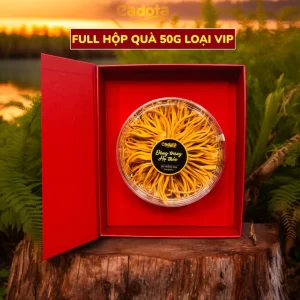 dong-trung-ha-thao-cadota-loai-cao-cap-full-hop-va-tui