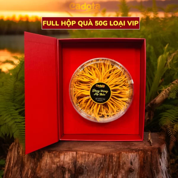 dong-trung-ha-thao-cadota-loai-cao-cap-full-hop-va-tui