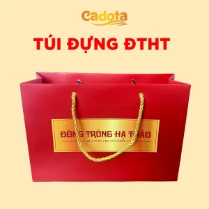 tui-giay-dung-dong-trung-cadota-1