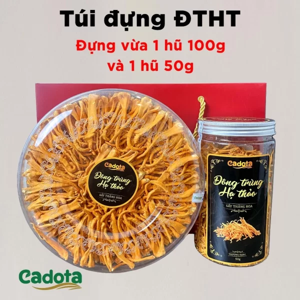 tui-giay-dung-dong-trung-cadota-3